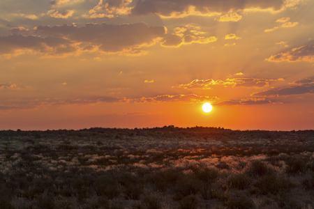 Dramatic sunset with clouds over the grassy plains of the Kalahariの写真素材