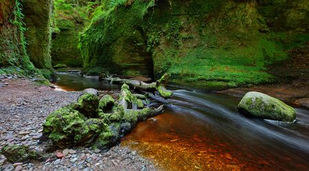 Small river with red water flowing through Finnich Glen landscape photographyの写真素材