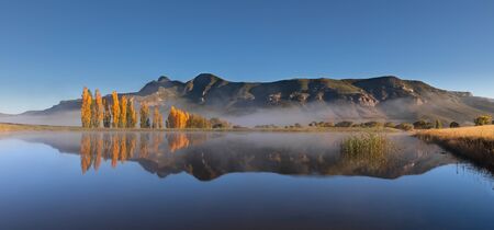 Autumn colour poplar trees lining the edge of a lake with reflection in the waterの写真素材