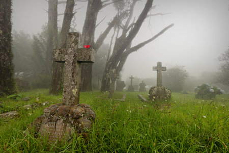 Old graveyard with tombstones on a misty cold dayの写真素材