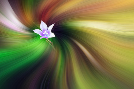 Artistic conversion to create an interesting twirl effect that is very colourful and brightの写真素材
