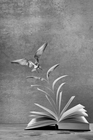 Artistic conversion of an open book on table with pages to become a flying bird in monochrome