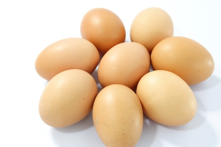 Egg の写真素材