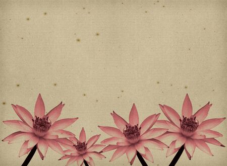 vintage paper textures with Lotus Flowersの写真素材
