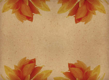 vintage paper textures with yellow Flowers の写真素材