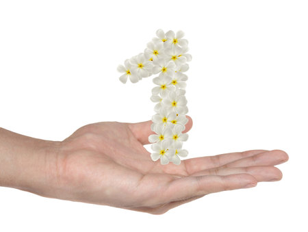 Numbers one made of tropical flowers frangipani in hand -  business concept