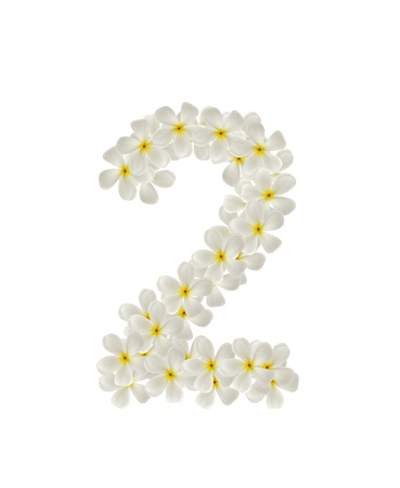 Numbers two made of tropical flowers frangipani(plumeria) isolated on whiteの写真素材