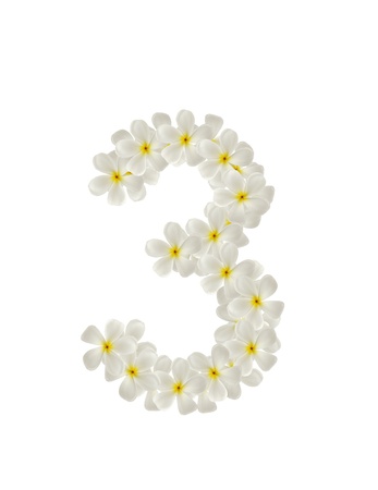 Numbers three made of tropical flowers frangipani(plumeria) isolated on whiteの写真素材