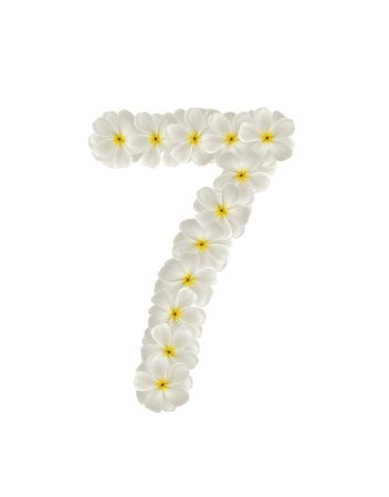 Numbers seven made of tropical flowers frangipani(plumeria) isolated on whiteの写真素材