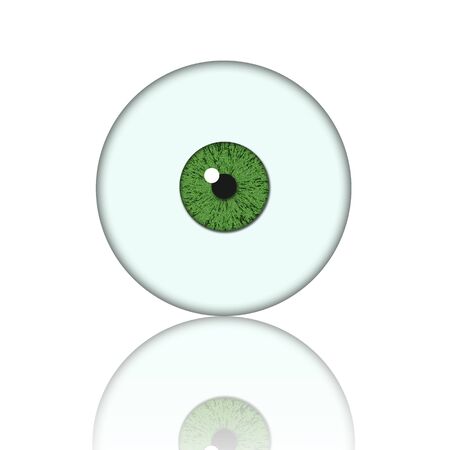 green eye ball isolated on white background の写真素材