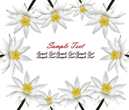 White lotus frame isolated against white backgroundの写真素材