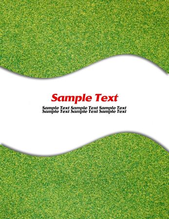 Green grass isolated with curve white lineの写真素材