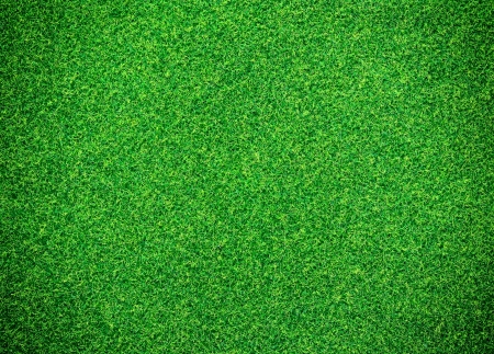 Green grass backgroundの写真素材