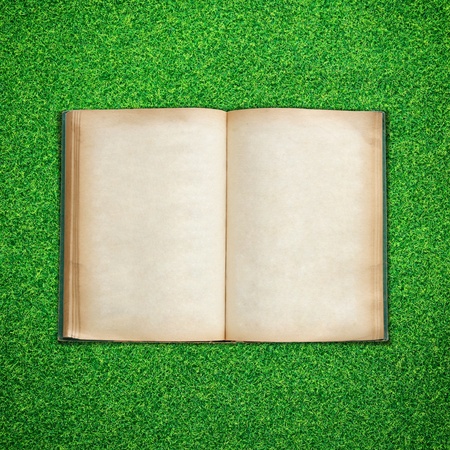 Old book open on green grass backgroundの写真素材