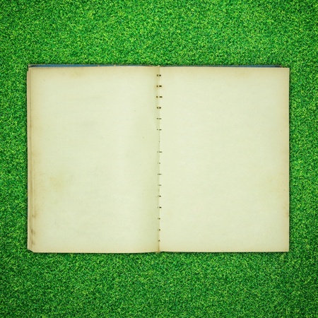Old book open on green grass backgroundの写真素材