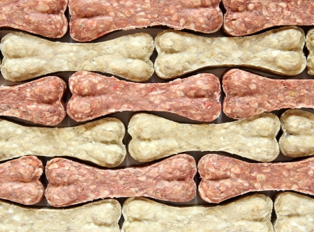 Dog bone food backgroundの写真素材