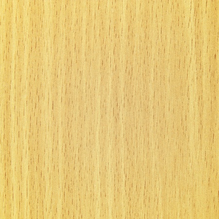 Texture of wood pattern backgroundの写真素材
