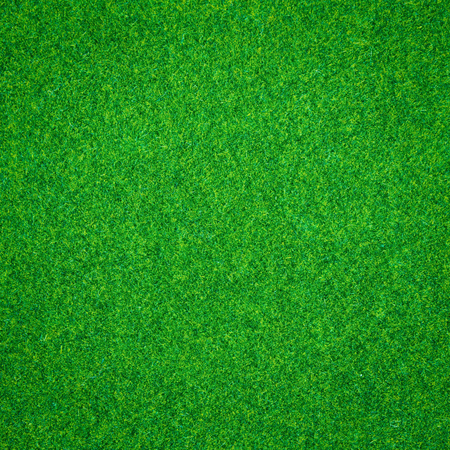 Green grass backgroundの写真素材