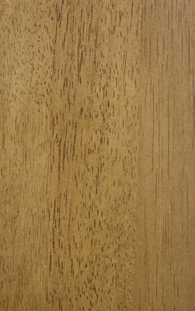 texture of wood pattern backgroundの写真素材