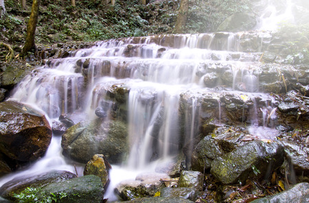 Waterfall in deep rain forest (Mae Kampong Waterfall in Chiang Mai Province, Thailand)の写真素材