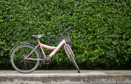 bicycle on leaf wall backgroundの写真素材