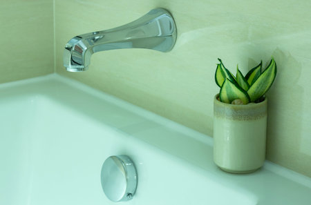 Modern Bathtub Faucet and Potted Plant Decorative in the Bathroom