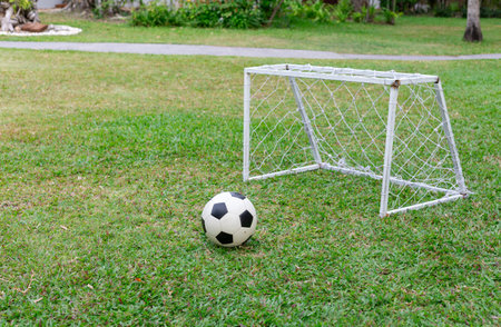 mini goal futsal court with soccer ball on the green grass at outdoor parkの写真素材