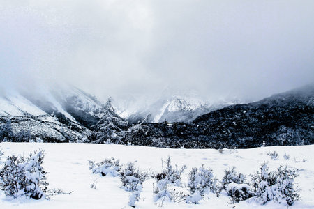 Huang Long parkの写真素材