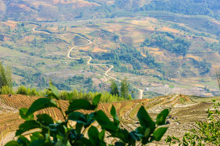 Rice fields in north Vietnamの写真素材