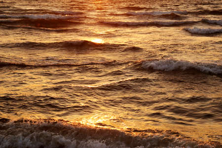 The golden shoreの写真素材