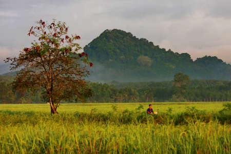 life in countryの写真素材