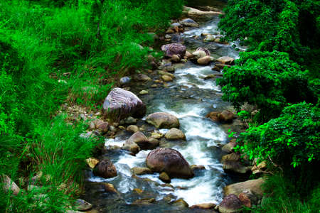 riverの写真素材