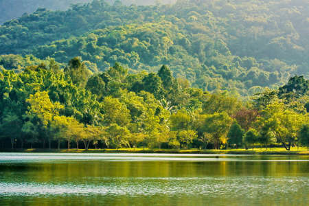 nature parkの写真素材