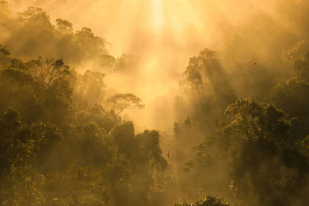 A day is on springの素材