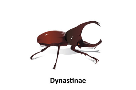 Big bug vector on blue background isolated