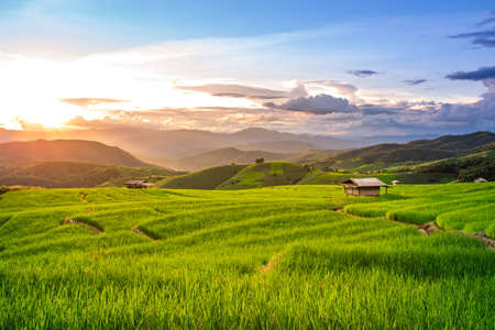 Beautiful sunset over the paddy fields in Pa Pong Pieng , Mae Chaem, Chiang Mai, Thailand.の写真素材