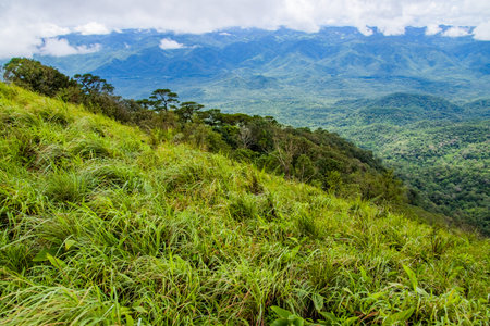Viewpoint and green fields in the rainy season at Doi Luang Tak, Tak Province,Thailand.