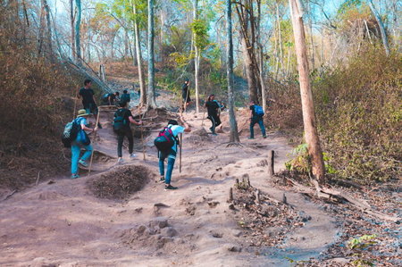 Phu Kradueng, Loei, Thailand.JANUARY 11,2020 : Tourists are trying to walk up to Phu Kradueng with tiredness and  hot weather. The weather on both sides is covered by drought of trees.のeditorial素材