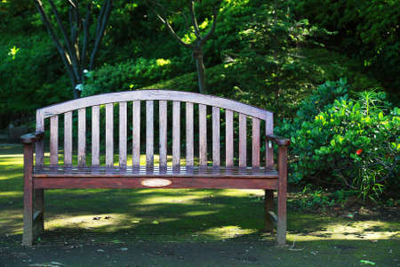 A bench in the Parkの写真素材