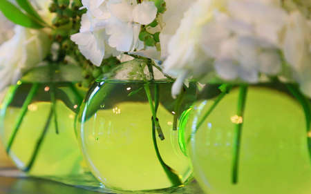 Glass vase Greenの写真素材