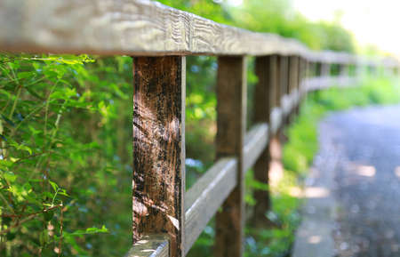 Sight of the Park Trailの写真素材