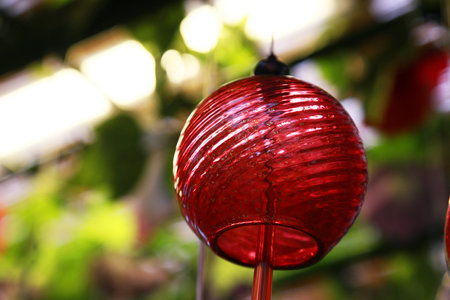 Scenery of Japan Red Bellの写真素材