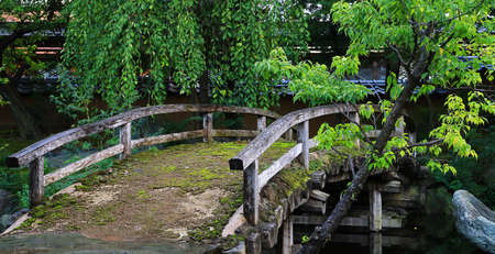 View of the bridge of the old trees of the forestの写真素材