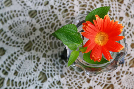 The sight of flowers on the tableclothの写真素材