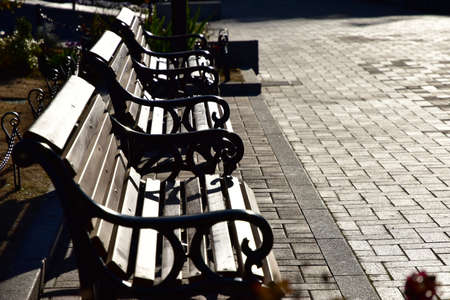 Evening park bench sceneの写真素材