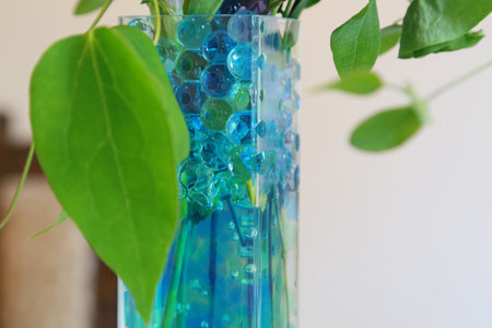 Glass vase and plant leaves
