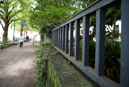 Sight of the green tree-lined streets and railの写真素材