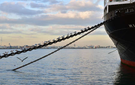 Seabirds and ships anchored in the port in the eveningの写真素材