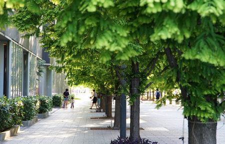 Sight of the square of the town of green Grove