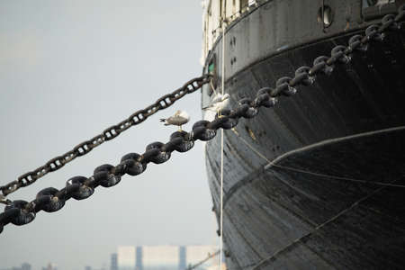 For mooring chains for ships in the harbor at the birds restの写真素材